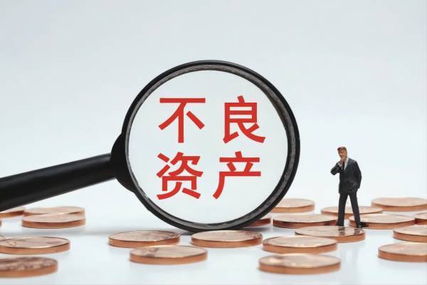 不良资产托管服务